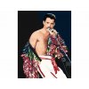 Malování podle čísel - FREDDIE MERCURY