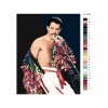 Malování podle čísel - FREDDIE MERCURY