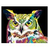 Malování podle čísel - BAREVNÁ SOVA