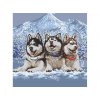 Malování podle čísel - TROJICE HUSKY