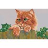 Malování podle čísel - KOČKA ZA PLOTEM (Rozměr 60x80 cm, Rámování vypnuté plátno na rám)