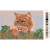 Malování podle čísel - KOČKA ZA PLOTEM (Rozměr 60x80 cm, Rámování vypnuté plátno na rám)
