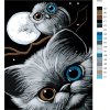 Malování podle čísel - KOTĚ SOVA A MĚSÍC (Rozměr 60x80 cm, Rámování vypnuté plátno na rám)