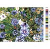 Malování podle čísel - CHRPY MODRÉ (Rozměr 60x80 cm, Rámování vypnuté plátno na rám)