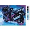 Malování podle čísel - KAWASAKI