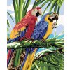 Malování podle čísel - PAPOUŠCI (Rozměr 60x80 cm, Rámování vypnuté plátno na rám)