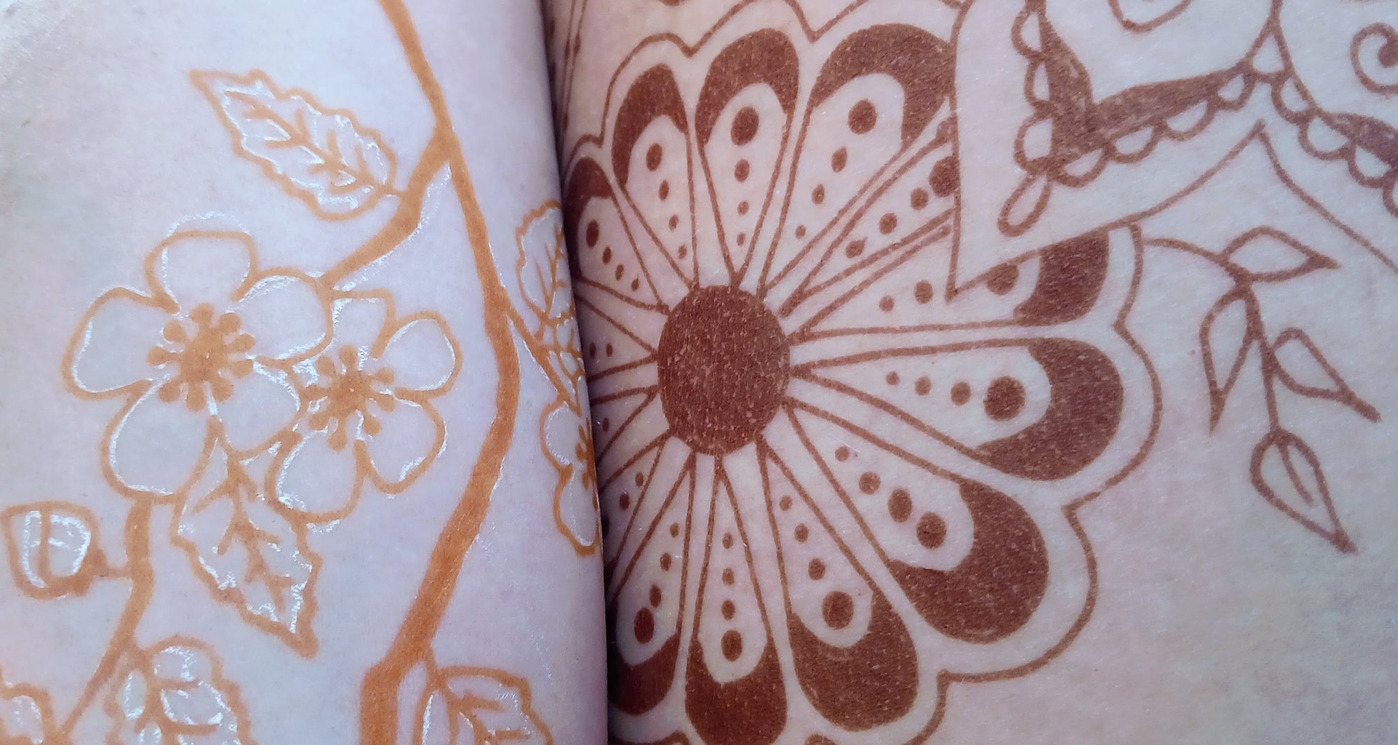 Henna, která vydrží: 3 tajemství pro sytou barvu a dlouhodobý efekt