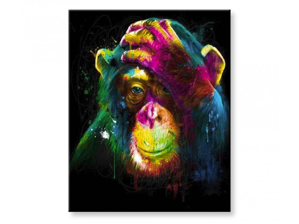 Maľovanie podľa čísel - Opica