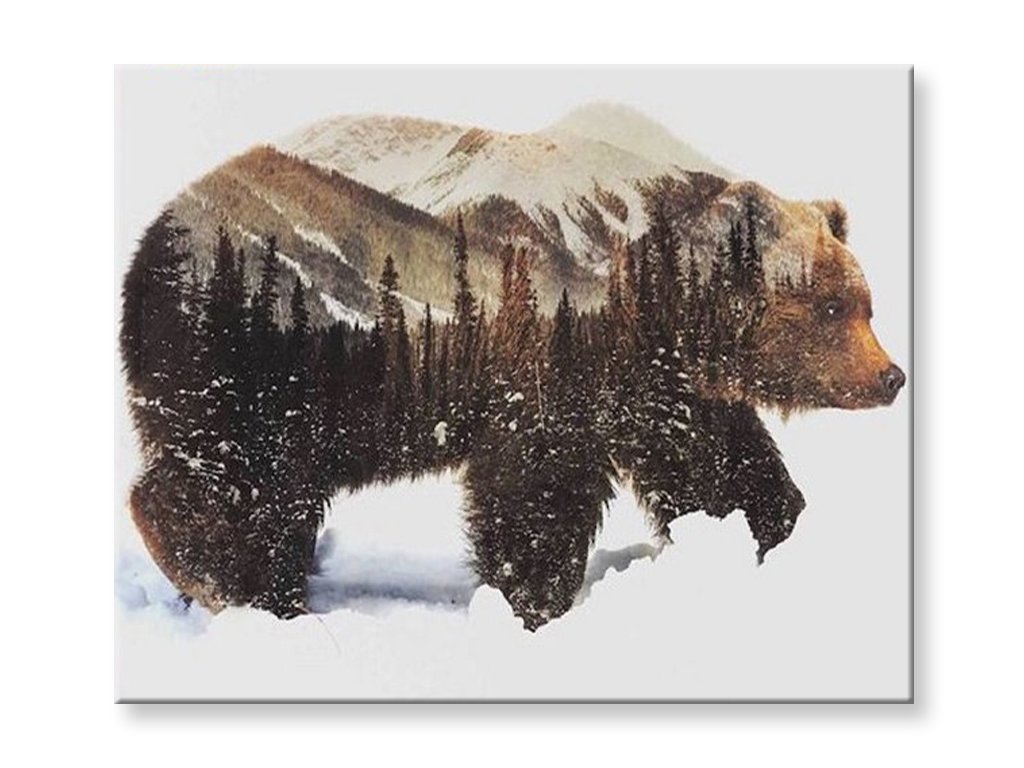 Maľovanie podľa čísel - Medveď