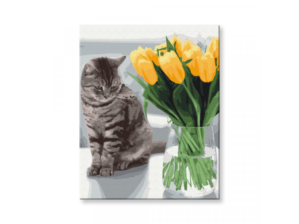 Kočka s tulipány