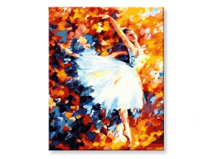 Maľovanie podľa čísel - Baletka vo víre tanca