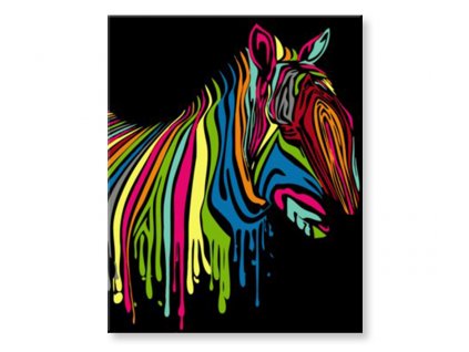 Maľovanie podľa čísel - Farebná zebra