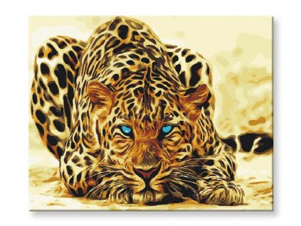 Maľovanie podľa čísel - Jaguar