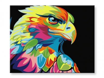 Maľovanie podľa čísel - Farebný orol