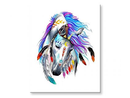 Maľovanie podľa čísel - indický kôň