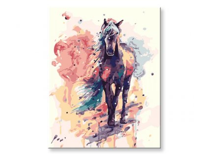 Maľovanie podľa čísel - Kôň vo farbách