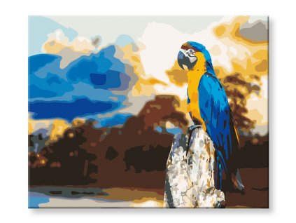 Maľovanie podľa čísel - Papagáj Ara 2