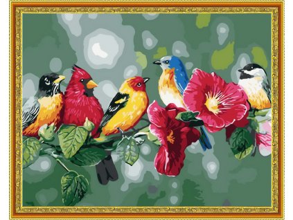 Diamantové maľovanie - Farebné vtáčiky