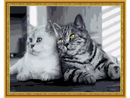Diamantové maľovanie - Dve mačky