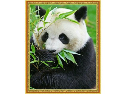 Diamantové maľovanie - Panda
