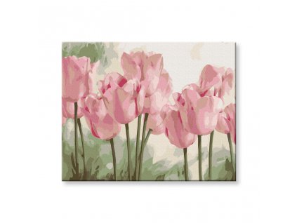 Nádherné tulipány