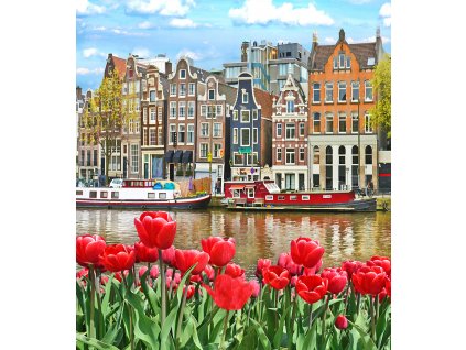 Diamantové maľovanie - Tulipány v Amsterdame