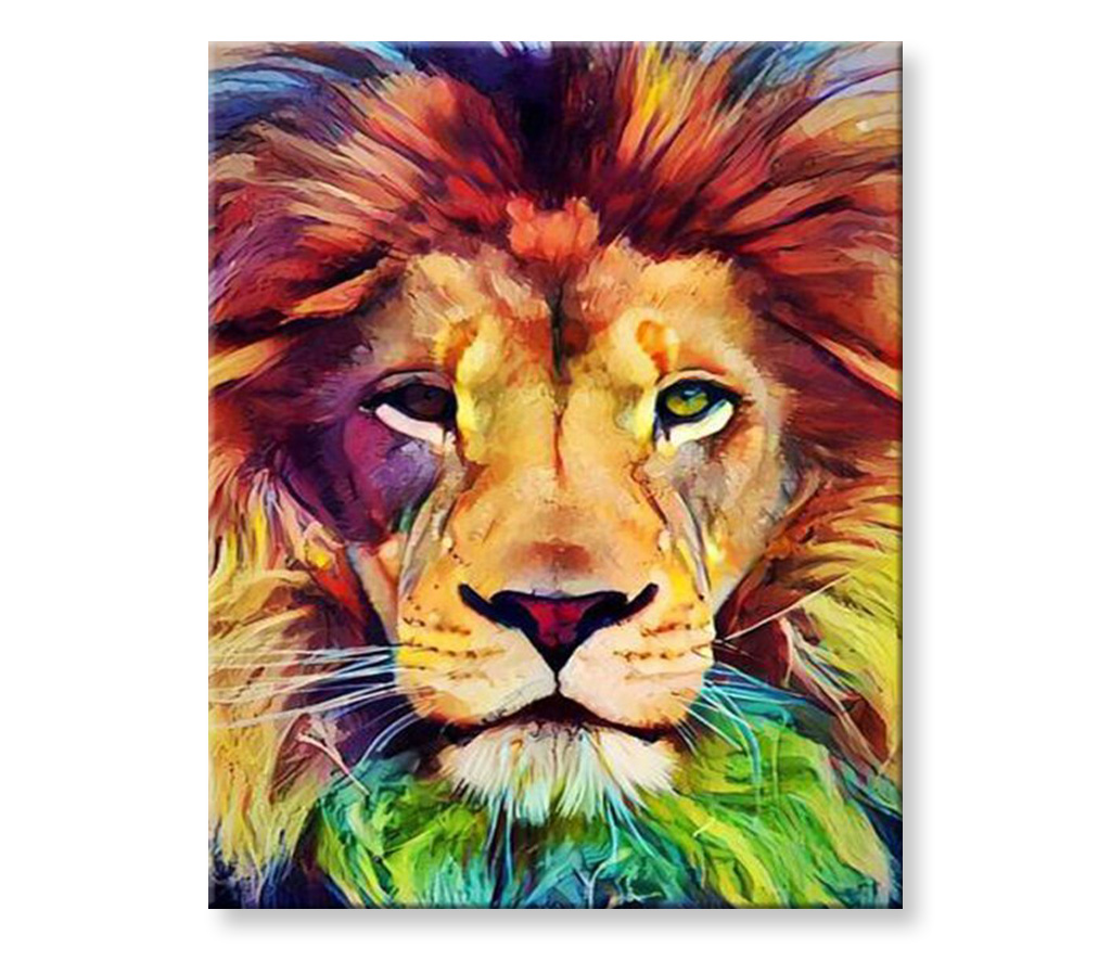 Maľovanie podľa čísel - Lion Rozmer obrazu: 80x100