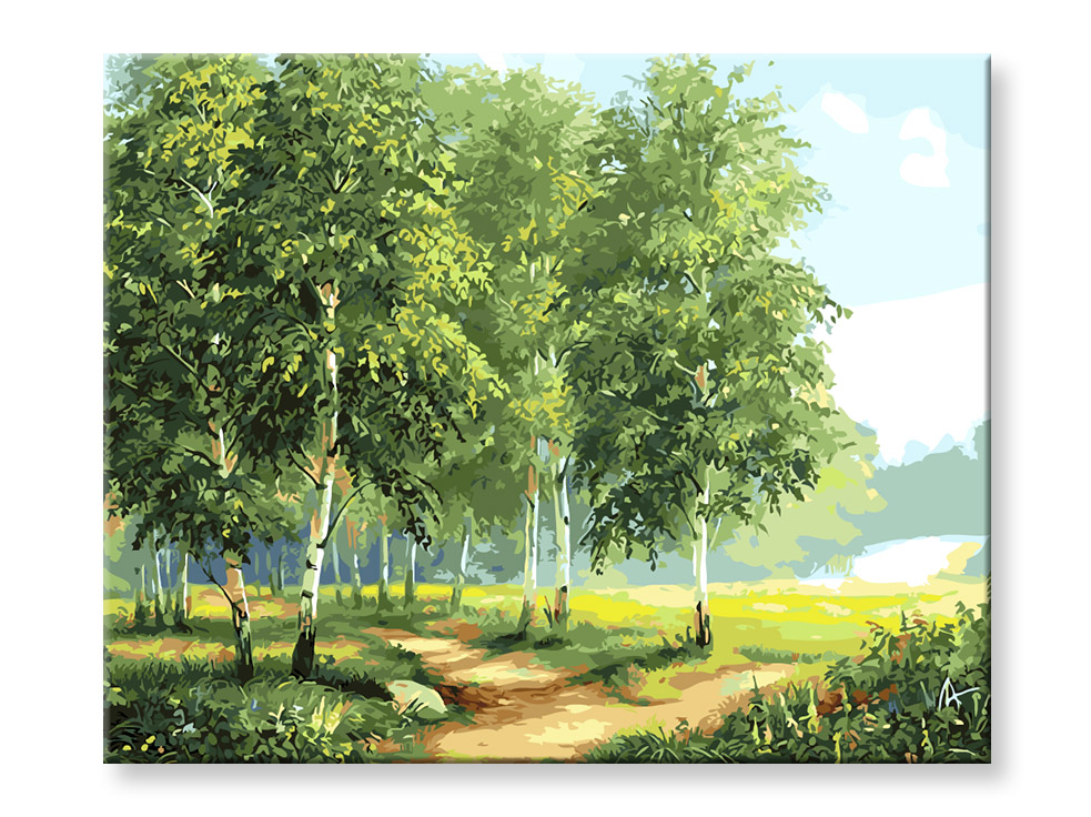 Maľovanie podľa čísel - Brezy pri ceste Rozmer obrazu: 60x80