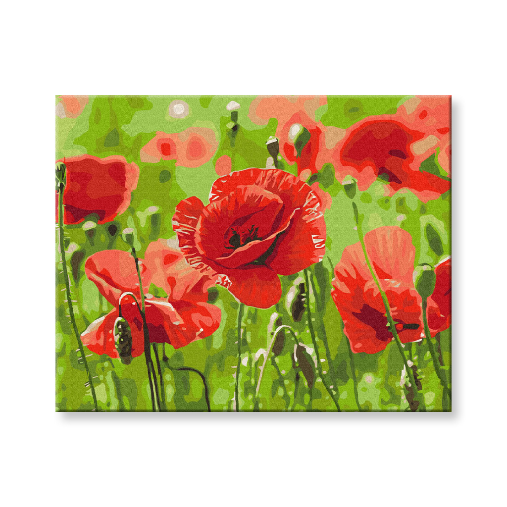 Maľovanie podľa čísel - Červené maky Rozmer obrazu: 80x100