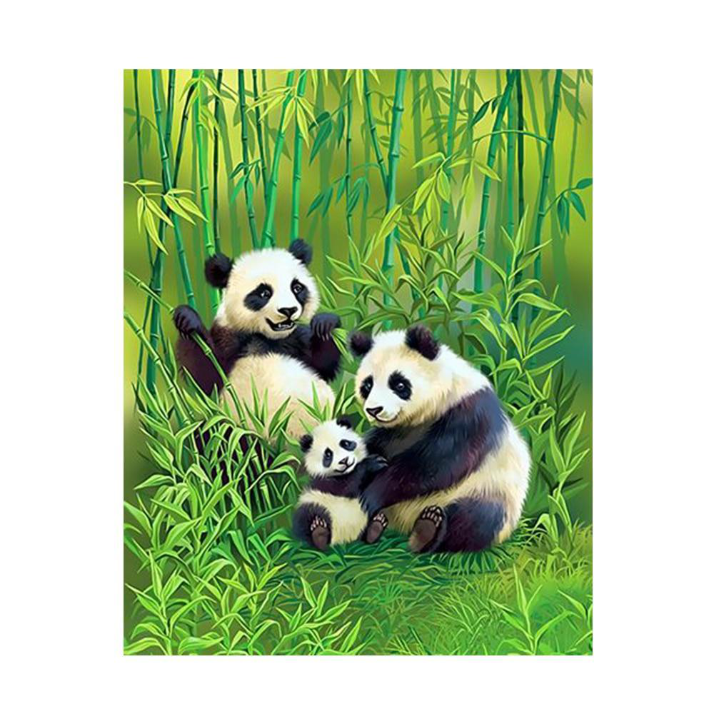 Maľovanie podľa čísel - Pandy