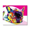 Maľovanie podľa čísel - Farebný buldog
