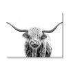 Maľovanie podľa čísel - Angus
