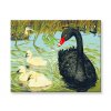 Maľovanie podľa čísel - Čierna labuť