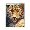 Portrét leoparda