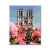 Katedrála Notre Dame v Paříži