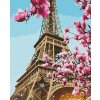 Diamantové maľovanie - Eiffelova veža s kvitnúcim stromom