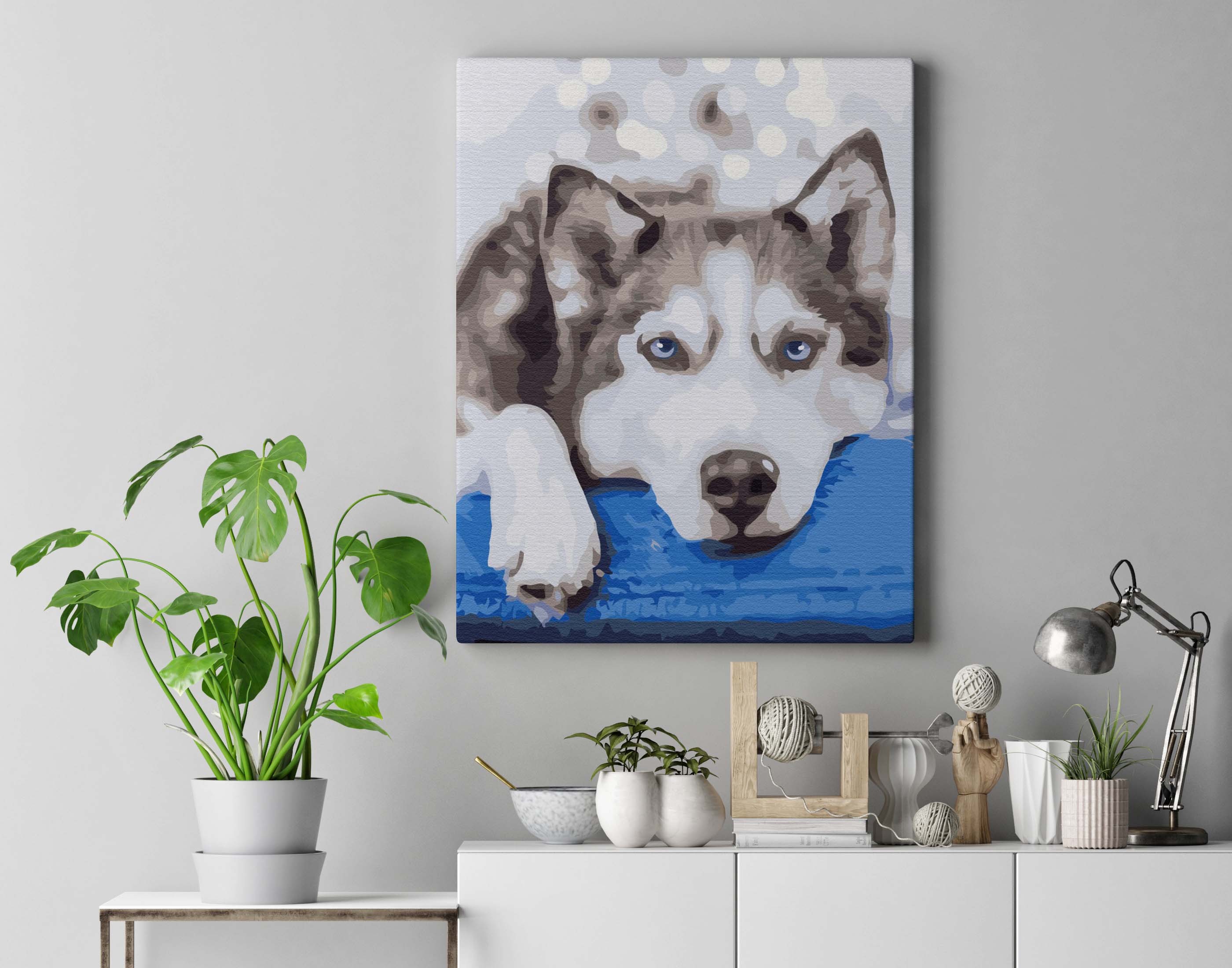 Husky v očekávání