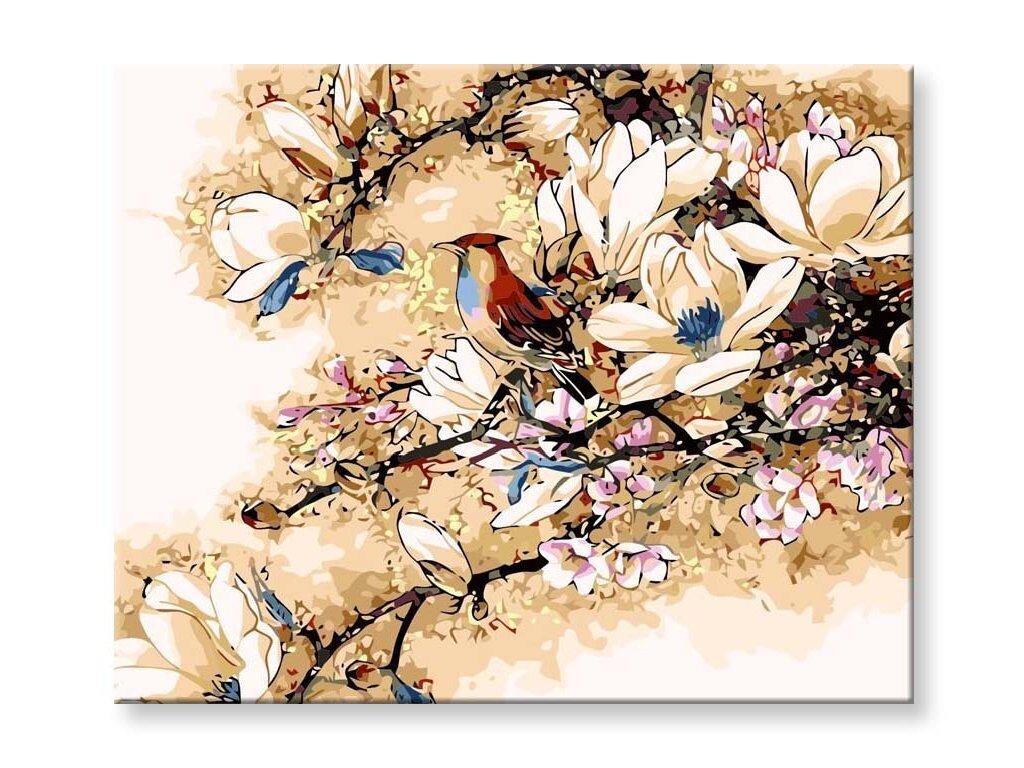 Malování podle čísel - Ptáček v květech magnolie