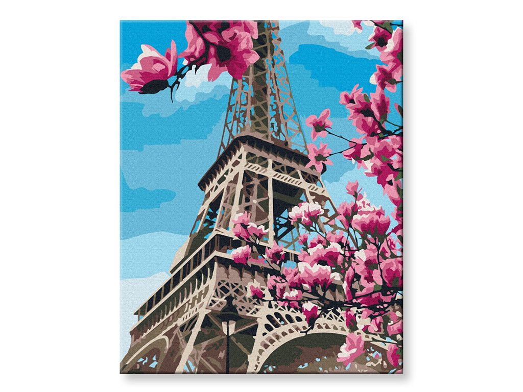 V Paříži kvete magnólie