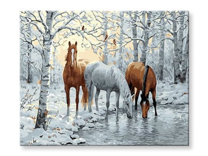 Malování podle čísel - Koně v zimní krajině
