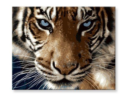  (Rozměr 80x100)