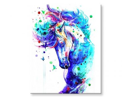 Malování podle čísel - Barevný kůň