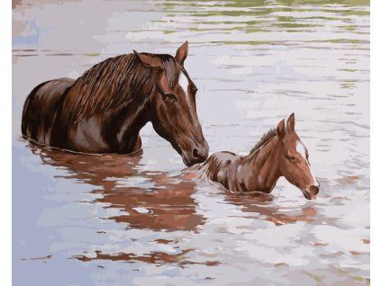  (Rozměr 80x100)