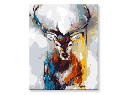  (Rozměr 80x100)