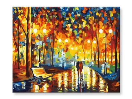 Malování podle čísel - Procházka noční parkem