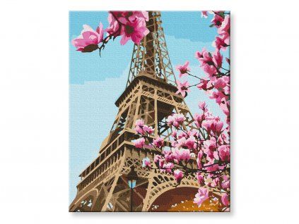 Sakura v Paříži