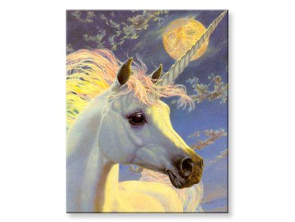Malování podle čísel Jednorožec při úplňku