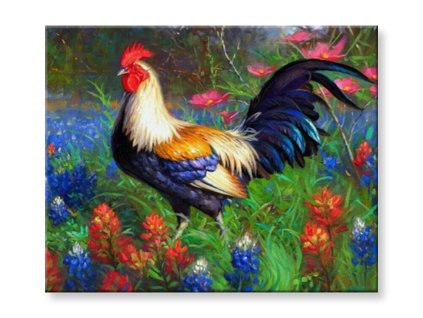 Malování podle čísel - Kohout