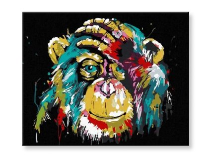 Malování podle čísel Barevná opice