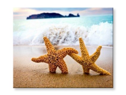 Malování podle čísel Hvězdice..